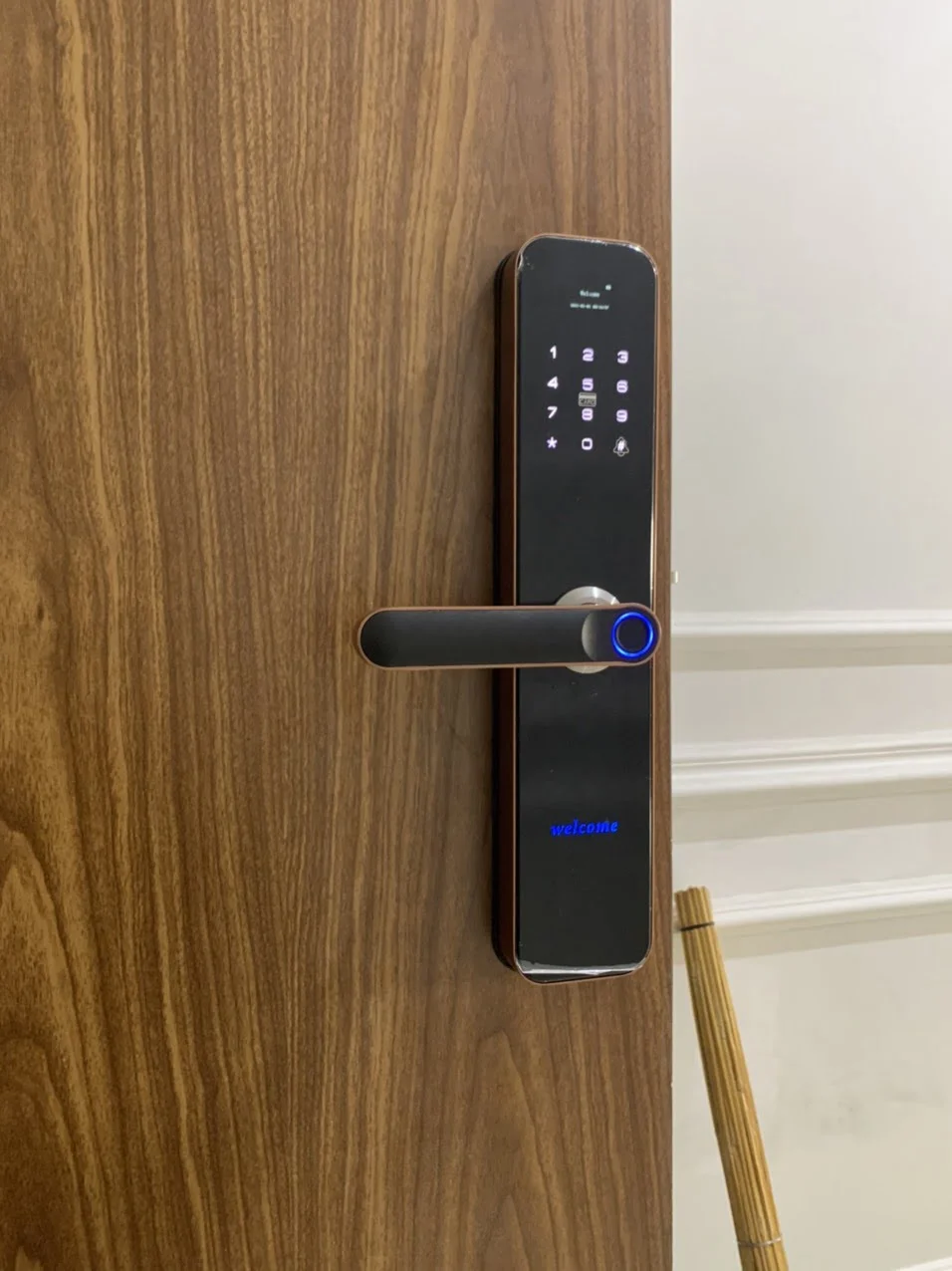 z5266612950136 e731c2a2aa4f05a88059150feb813803